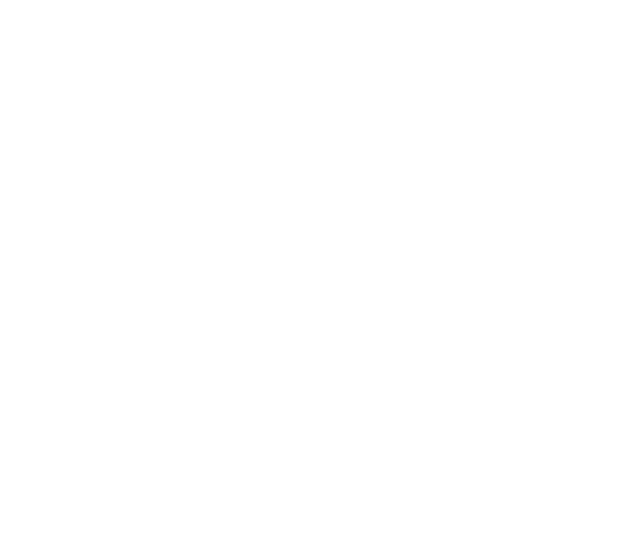 LIDU RV